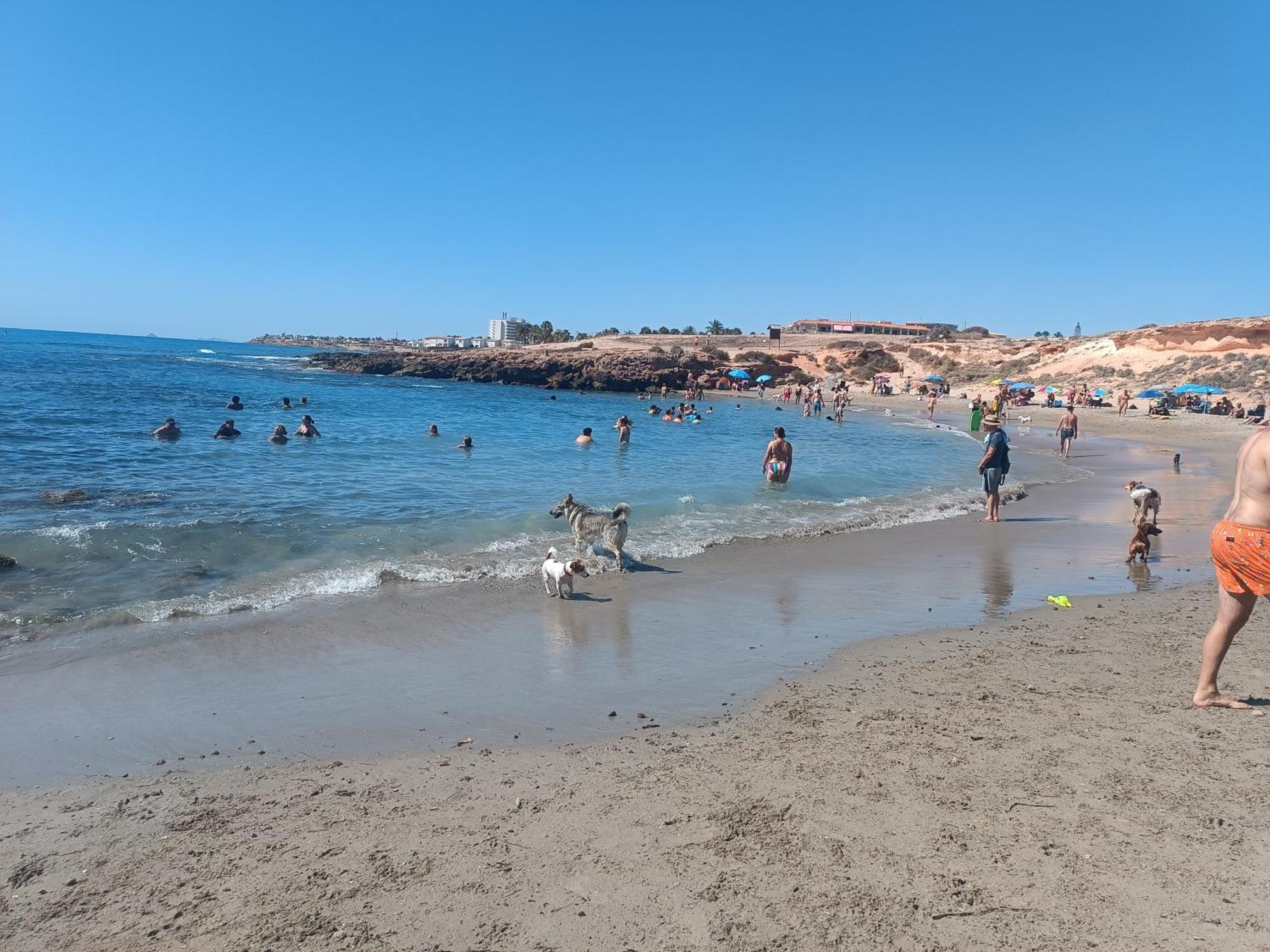 La Campana Apartment Dehesa de Campoamor  Luaran gambar